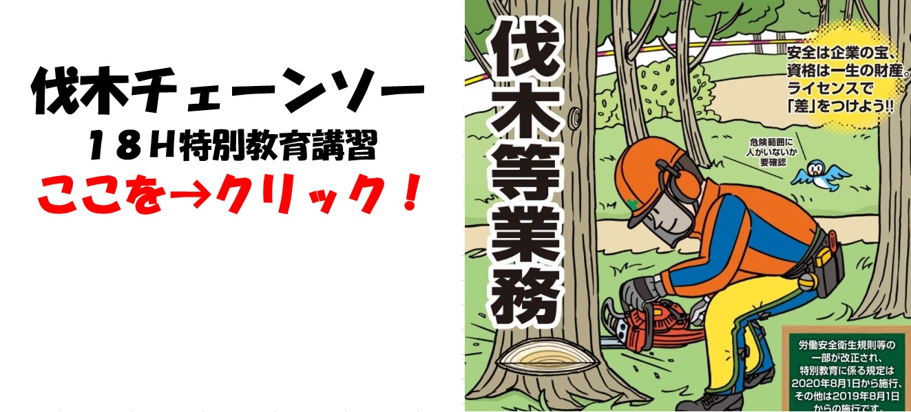 伐木作業（チェーンソー１８Ｈ）特別教育講習 ここを→クリック！