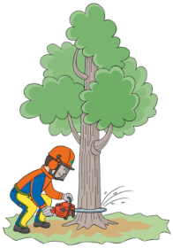 伐木等業務の特別教育